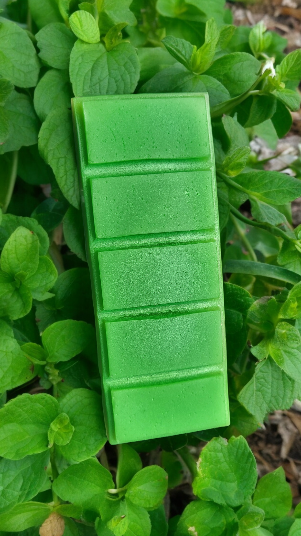 Eucalyptus Mint Bees Wax Wax Melt