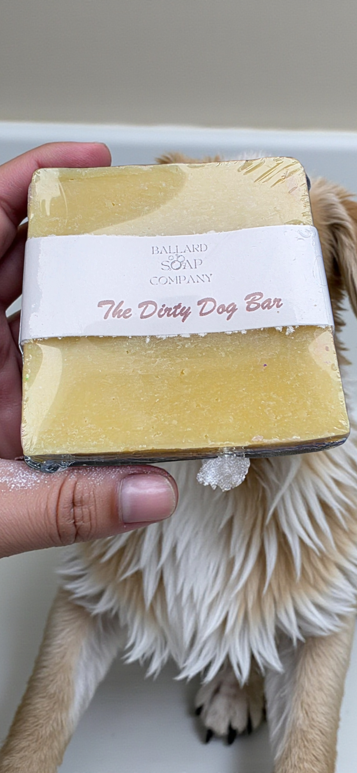 The Dirty Dog Bar