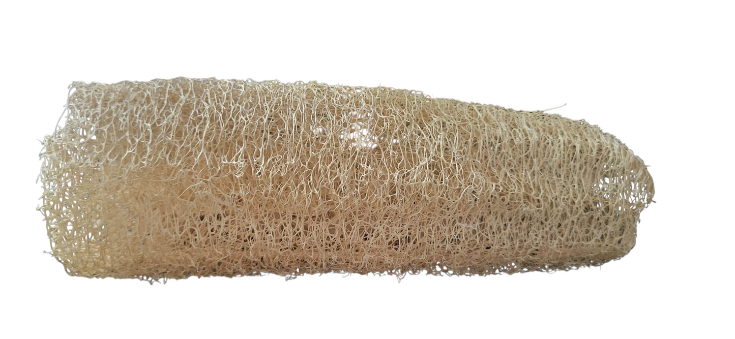 Natural Loofah Sponge