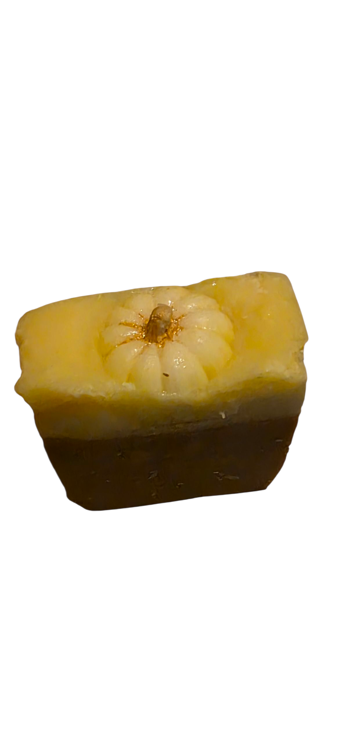Pumpkin Artisan Soap Bar