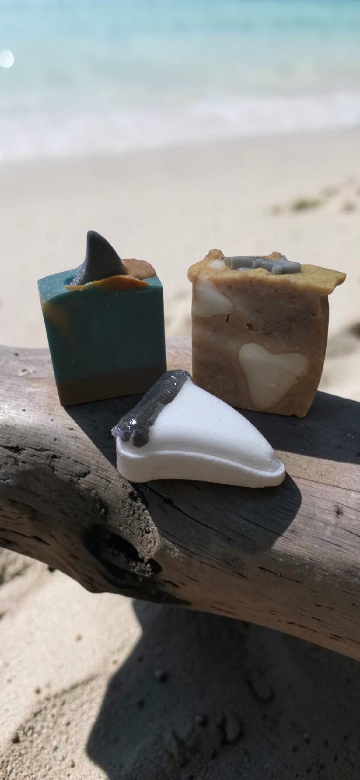 Shark Week Bundle