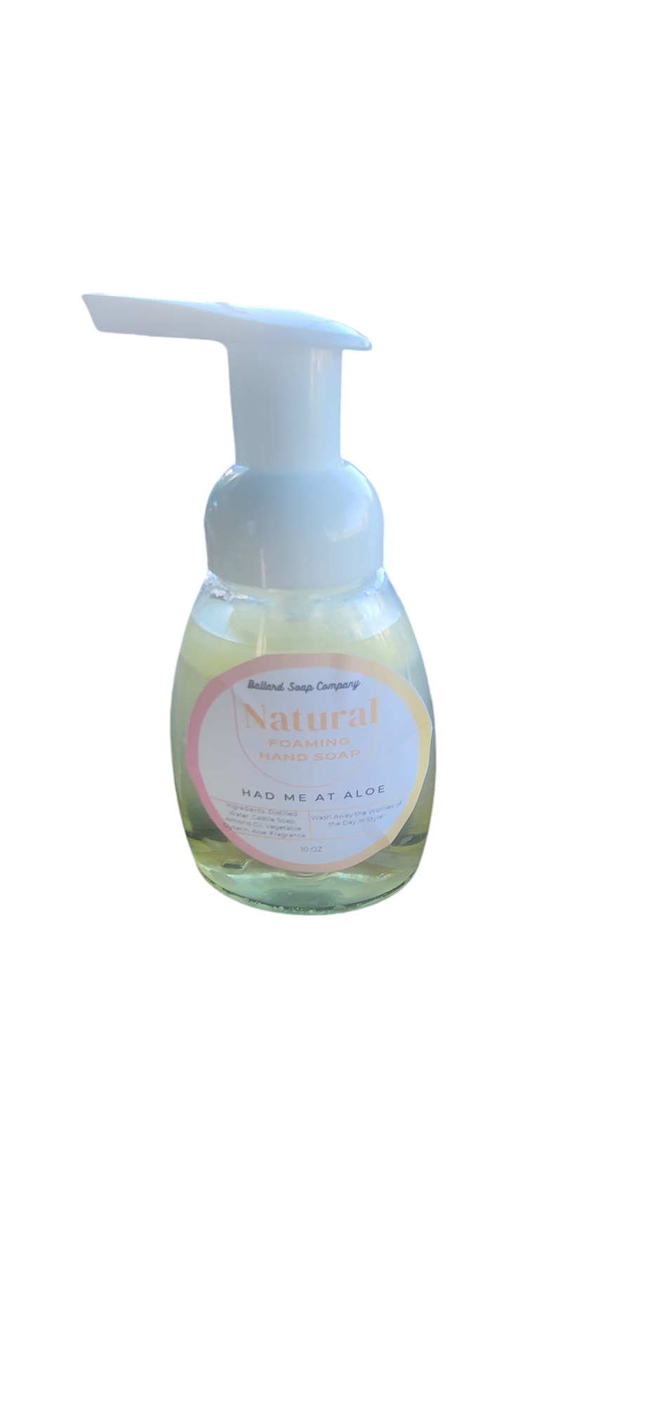 Had Me At Aloe Foaming Hand Soap