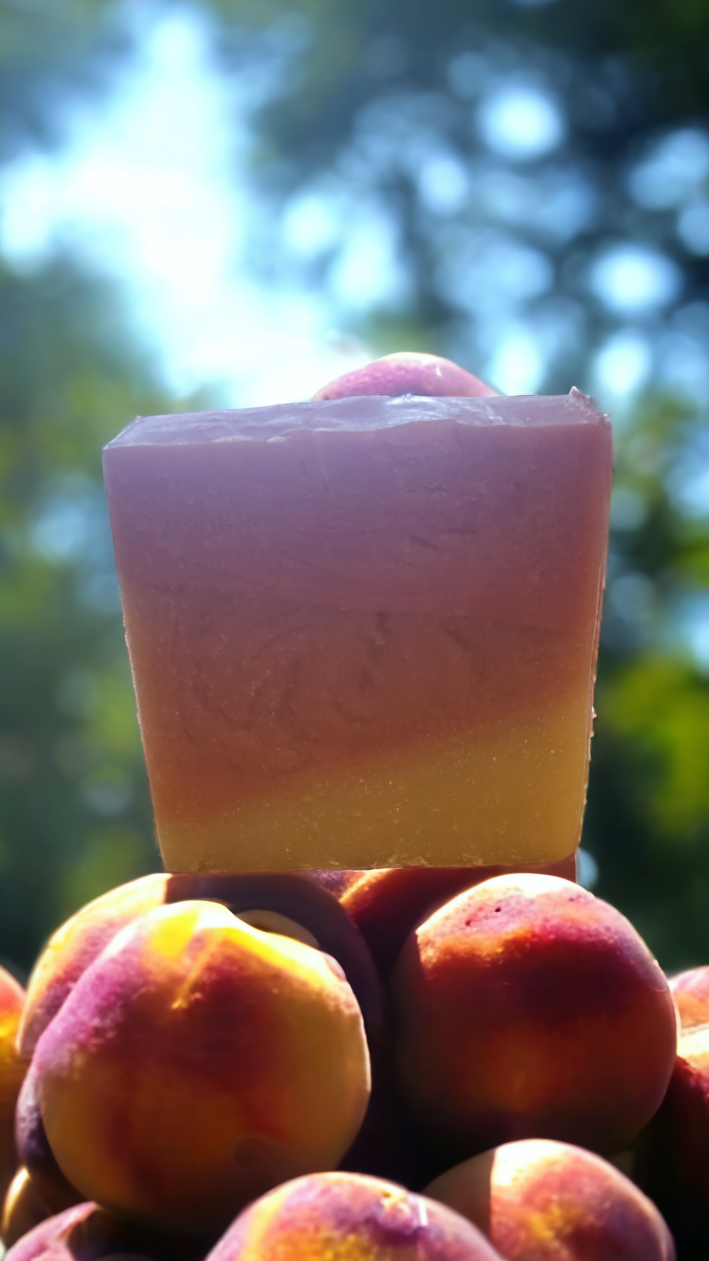 Southern Peach Artisan Soap Bar