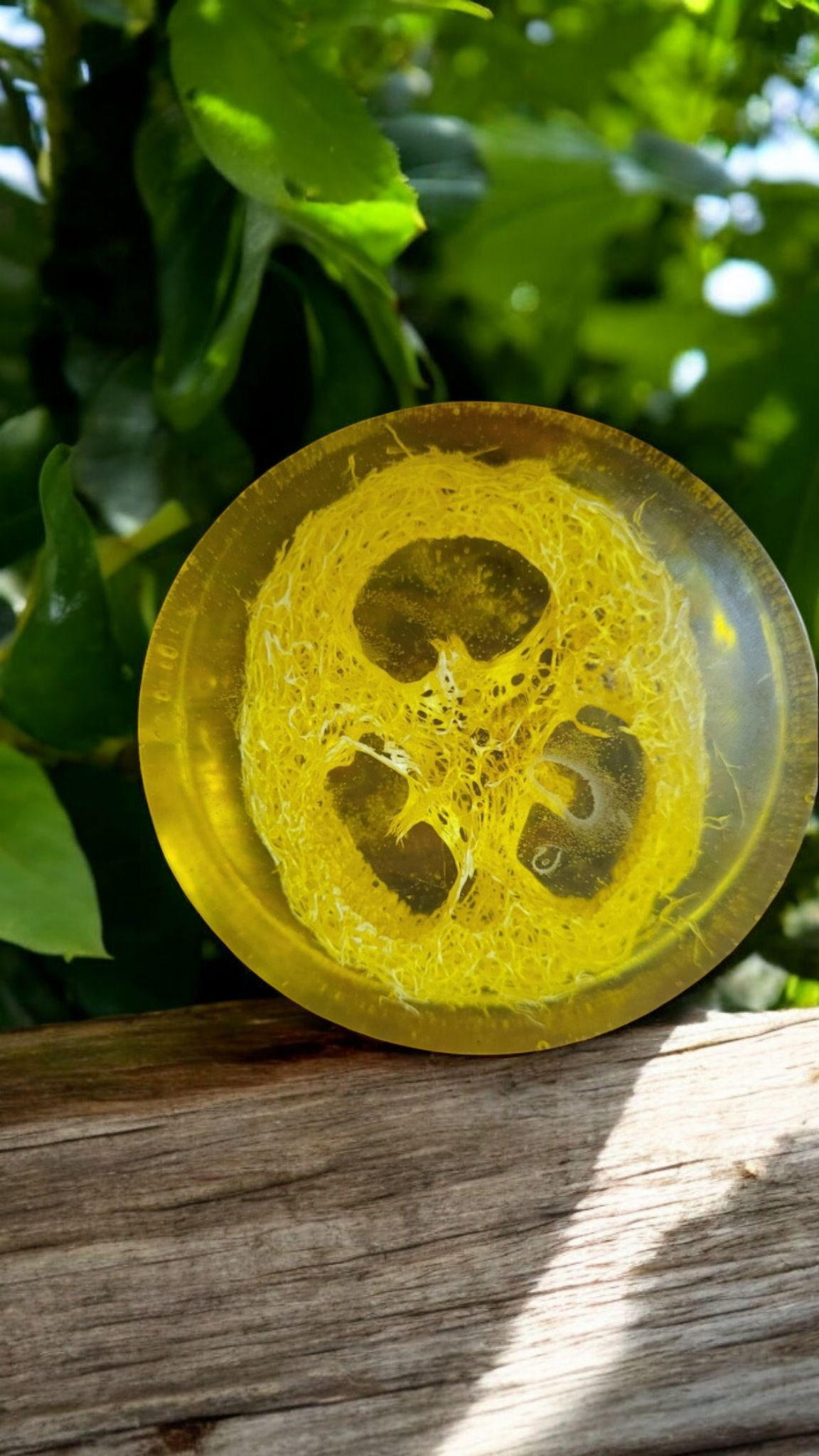 Lemon Loofah Soap Bar