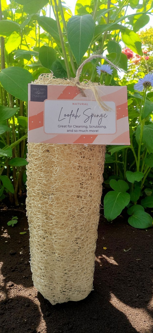 Natural Loofah Sponge