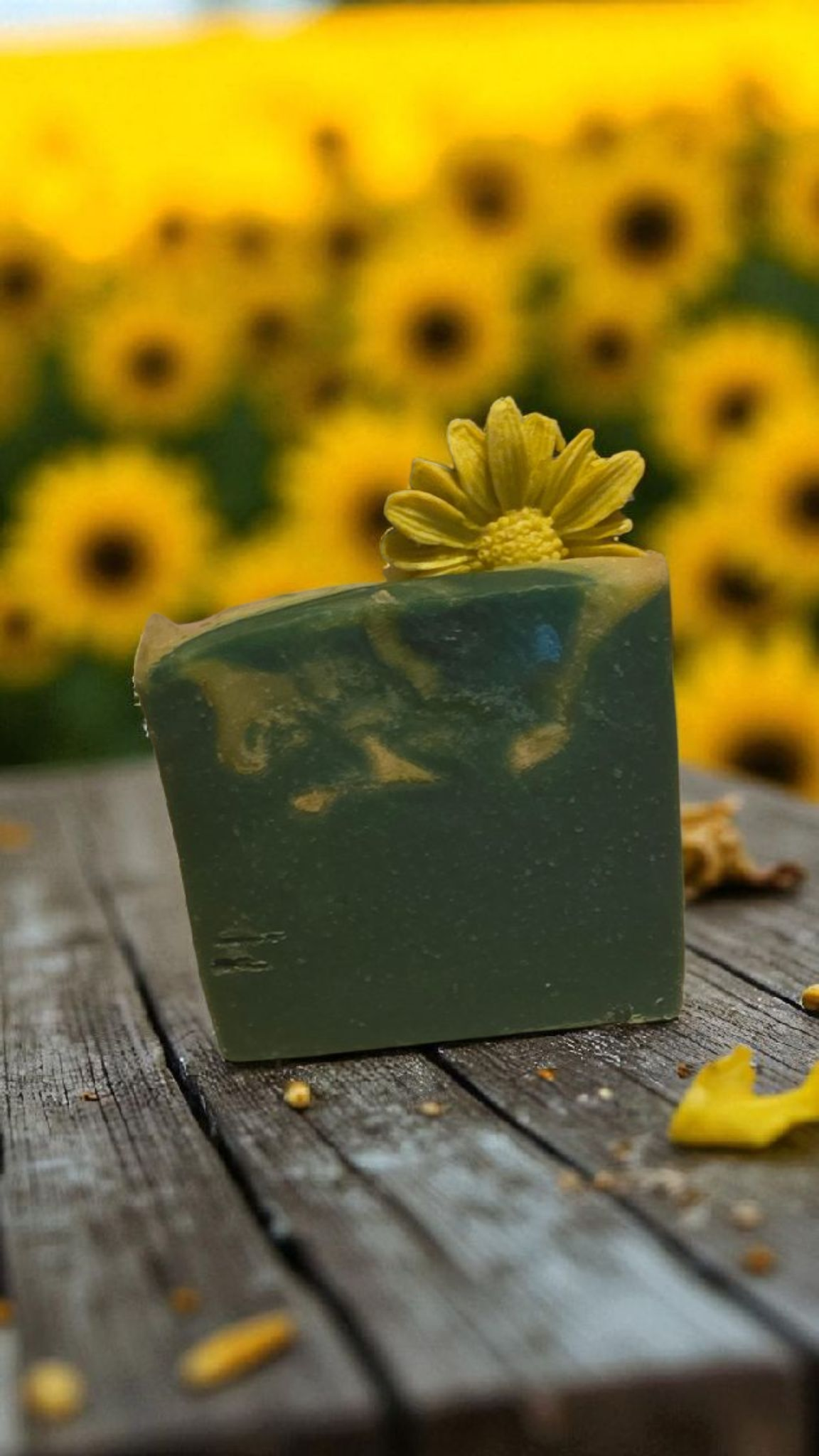 Beauty of Fall Artisan Soap Bar