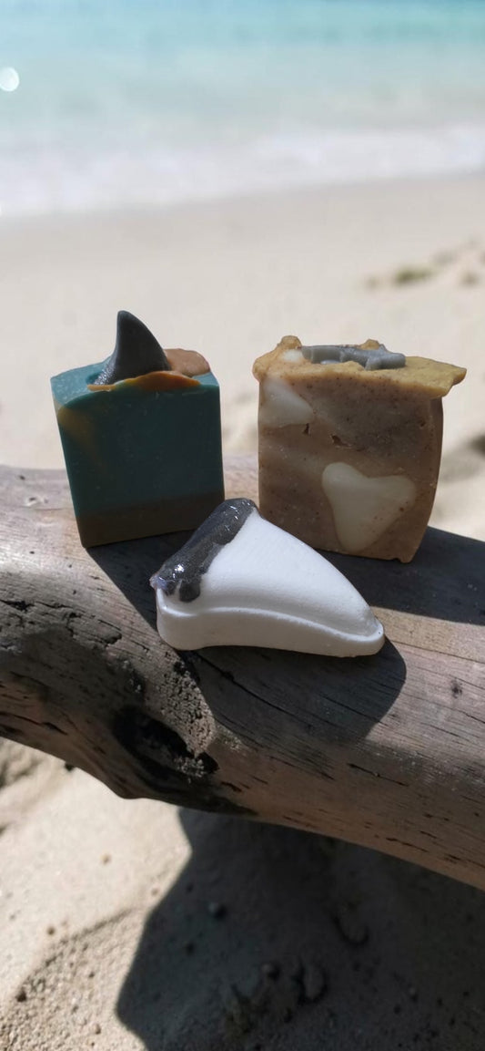 Shark Week Bundle