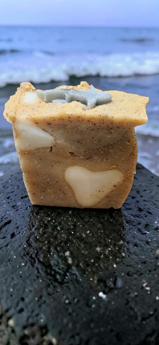 Fossils Artisan Soap Bar