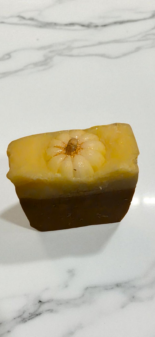 Pumpkin Artisan Soap Bar